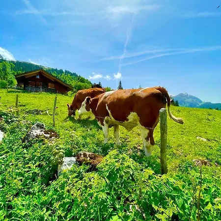 Charmant Chalet Mit See Und Bergsicht Hofstetten bei Brienz Exterior photo