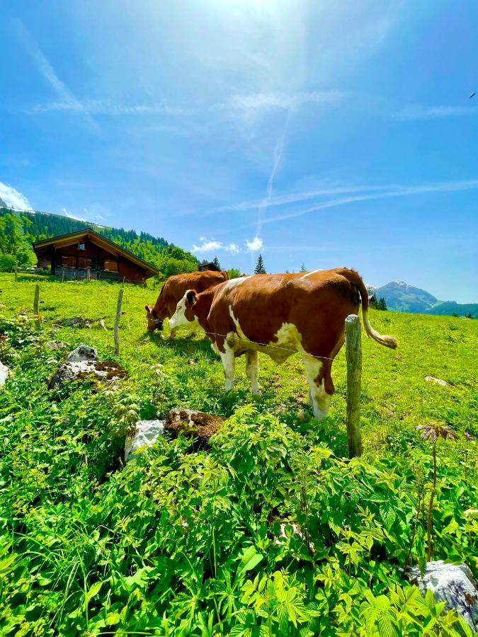 Mit Und Bergsicht Appartamento Hofstetten bei Brienz