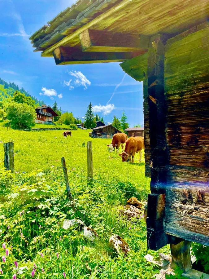 Mit Und Bergsicht Hofstetten bei Brienz