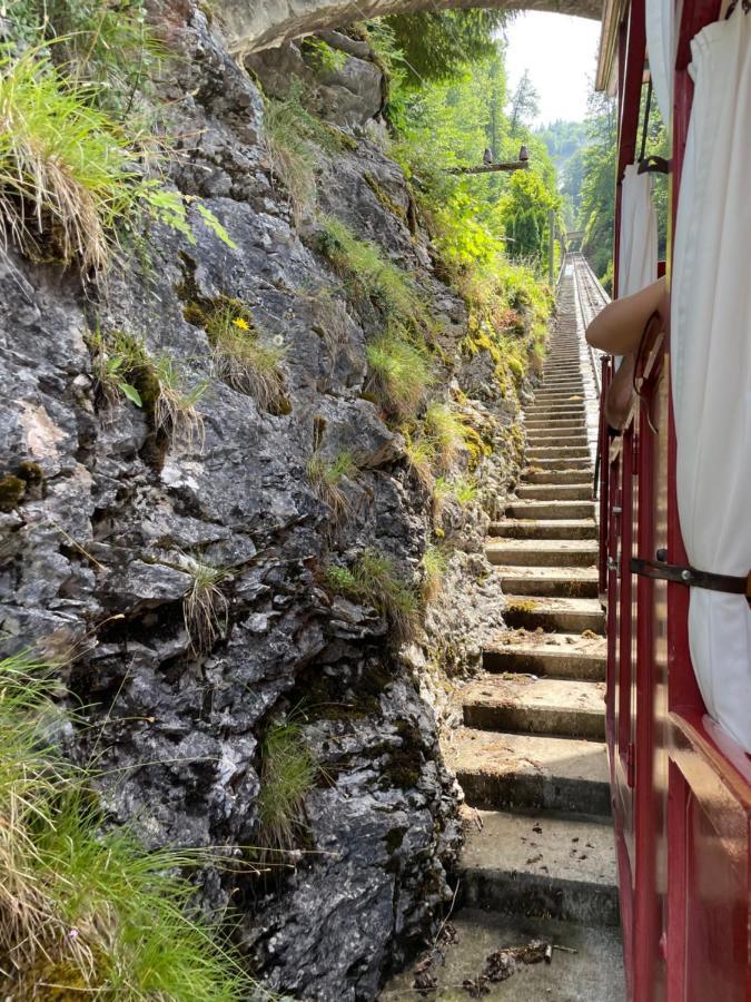 Appartamento Mit Und Bergsicht *